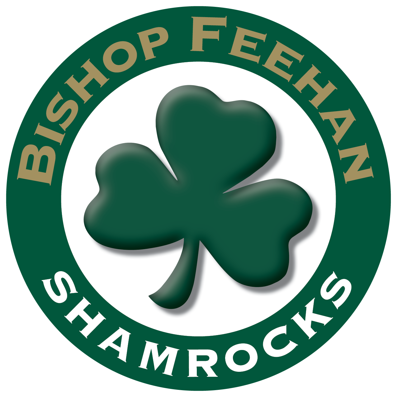 Feehan Shamrocks vs LincolnSudbury Regional Warriors MIAA